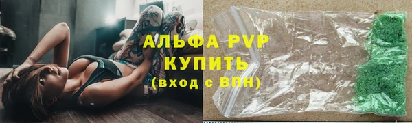 прущие грибы Богородицк