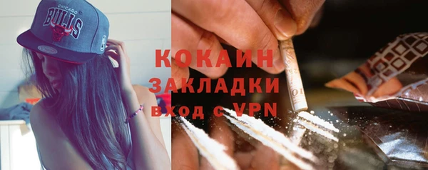 спиды Богданович