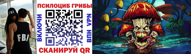 купить закладку  Заволжск  ОМГ ОМГ ССЫЛКА  Псилоцибиновые грибы Psilocybe 